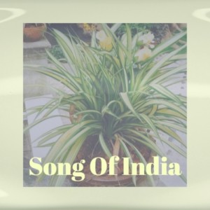 Album Song of India (Explicit) oleh Various