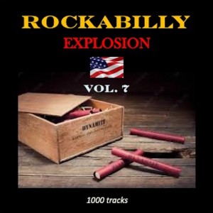 Listen to Lonesome Tears in My Eyes song with lyrics from Johnny Burnette Rock & Roll Trio