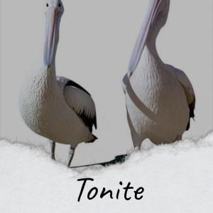 Various的专辑Tonite