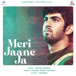 Album Meri Jaane Ja from Hriday Gattani