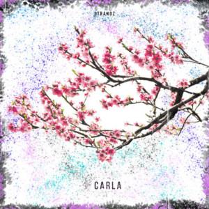 ดาวน์โหลดและฟังเพลง Carla พร้อมเนื้อเพลงจาก Strandz