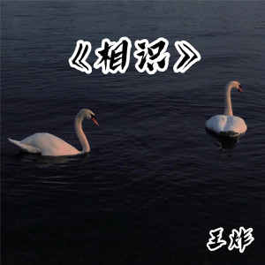 Listen to Ты беспощадна (DJ版) song with lyrics from 王炸