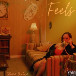 Listen to Feels (Explicit) song with lyrics from Tatiana Barbosa