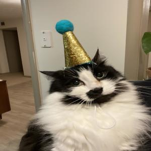 ดาวน์โหลดและฟังเพลง champagne (Explicit) พร้อมเนื้อเพลงจาก GABEDOESNTSLEEP