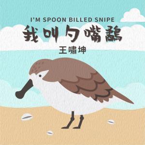 收听王啸坤的我叫勺嘴鹬歌词歌曲