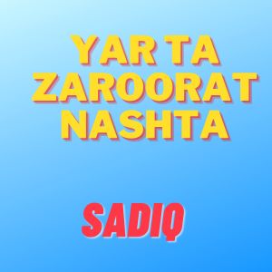 Listen to Yar Ta Zaroorat Nashta song with lyrics from Sadiq