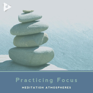 อัลบัม Practicing Focus ศิลปิน Meditation Atmospheres