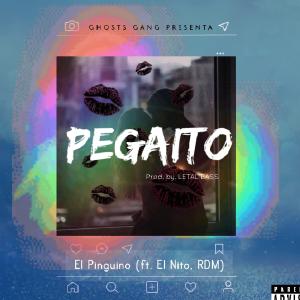 ดาวน์โหลดและฟังเพลง Pegaito (feat. El Nito & RDM) (Explicit) พร้อมเนื้อเพลงจาก El Pinguino