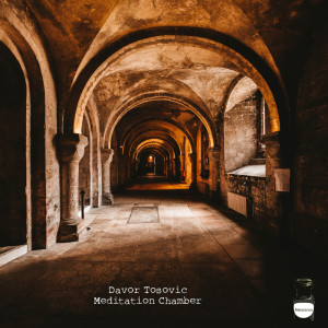 ดาวน์โหลดและฟังเพลง Rev 500 พร้อมเนื้อเพลงจาก Davor Tosovic