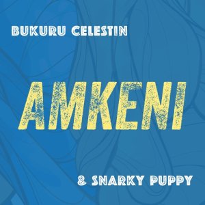 Snarky Puppy的專輯Amkeni