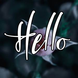 Sofia的专辑Hello (Cover)