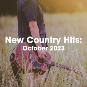 ดาวน์โหลดและฟังเพลง Dancin’ In The Country พร้อมเนื้อเพลงจาก Tyler Hubbard