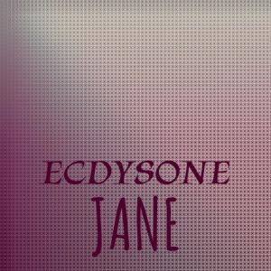 Various Artists的專輯Ecdysone Jane