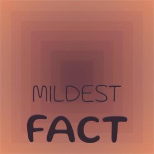 อัลบัม Mildest Fact ศิลปิน Various Artists