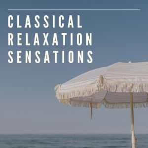 收聽Homelanders Orchestra的Symphony No 7 (i. Allegro moderato)歌詞歌曲