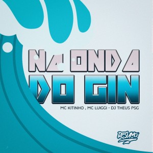 Listen to NA ONDA DO GIN song with lyrics from MC Luiggi