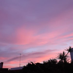 Album We Did from Fedeflaviano