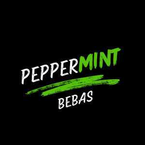 收聽Peppermint的free歌詞歌曲