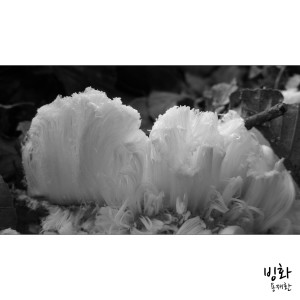 收聽용재환的冰花歌詞歌曲
