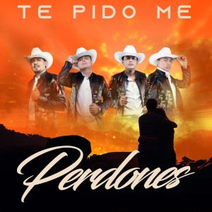 Listen to Te Pido Me Perdones song with lyrics from Grandes Shakas