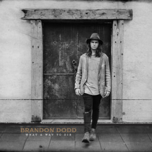 ดาวน์โหลดและฟังเพลง Like A Diamond พร้อมเนื้อเพลงจาก Brandon Dodd