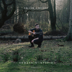 ดาวน์โหลดและฟังเพลง Somethin' Stupid (Acoustic) พร้อมเนื้อเพลงจาก Callum J Wright
