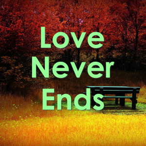 Listen to Forever Young song with lyrics from Wildlife