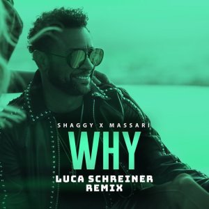 ดาวน์โหลดและฟังเพลง Why (Luca Schreiner Remix) พร้อมเนื้อเพลงจาก Shaggy