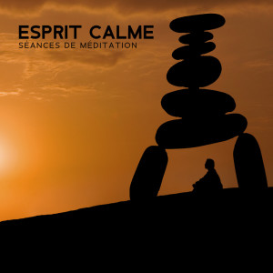 Album Esprit calme (Séances de méditation, Déstressante, Musiques des disciplines de l'âme) from Zone de Méditation Handpan