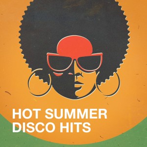 Album Hot Summer Disco Hits oleh #1 Disco Dance Hits
