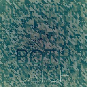 Various的专辑Both Catch
