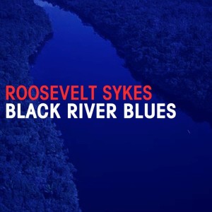 Dengarkan lagu Don't Rush Yourself nyanyian Roosevelt Sykes dengan lirik