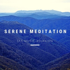 收听Spa Music Relaxion的Healing With Spa歌词歌曲