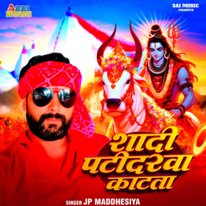 Album Shadi Patidarva Katata from 