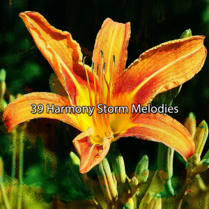Relaxing Rain Sounds的專輯39 Harmony Storm Melodies