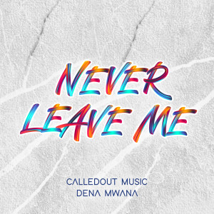 Dena Mwana的专辑Never Leave Me