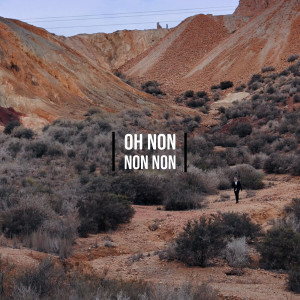 Album Oh non non non from Detroit Brooks
