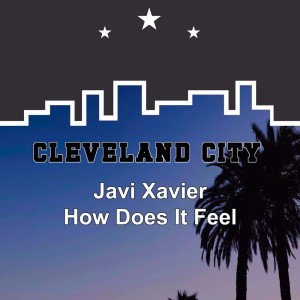 Javi Xavier的專輯How Does It Feel