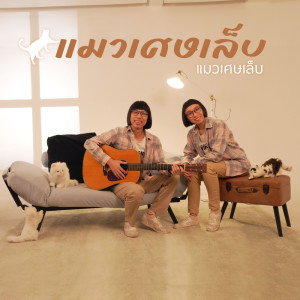 ดาวน์โหลดและฟังเพลง แมวเศษเล็บ พร้อมเนื้อเพลงจาก แมวเศษเล็บ