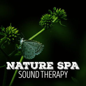 ดาวน์โหลดและฟังเพลง Brook Bird Song พร้อมเนื้อเพลงจาก Relaxing With Sounds of Nature and Spa Music Natural White Noise Sound Therapy