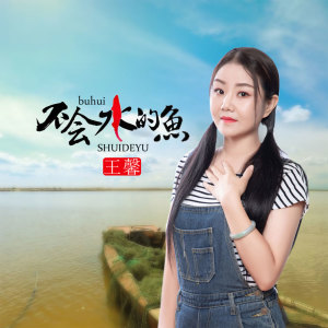 收聽王馨的不會水的魚歌詞歌曲