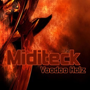 Album Voodoo Holz from Miditeck