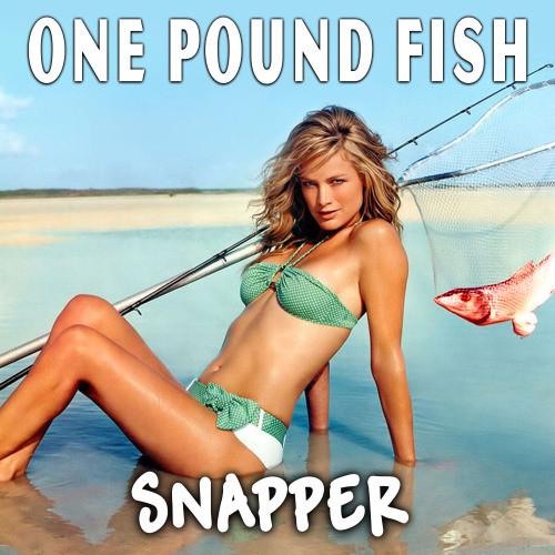 One Pound Fish (Radio Remix)