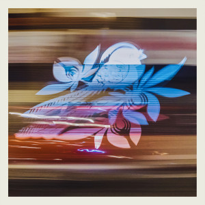 default album img