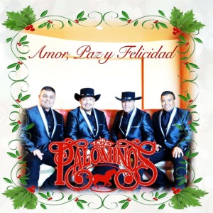 Listen to Amor, Paz Y Felicidad song with lyrics from Los Palominos