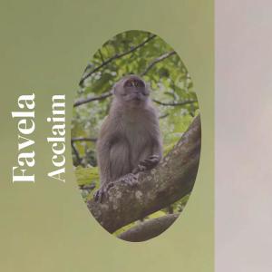 Album Favela Acclaim from Various