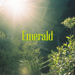 收聽RINI的Emerald歌詞歌曲