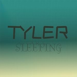 ดาวน์โหลดและฟังเพลง Tyler Sleeping พร้อมเนื้อเพลงจาก Mian Folke