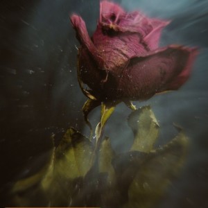 LilCode223的專輯Far Away