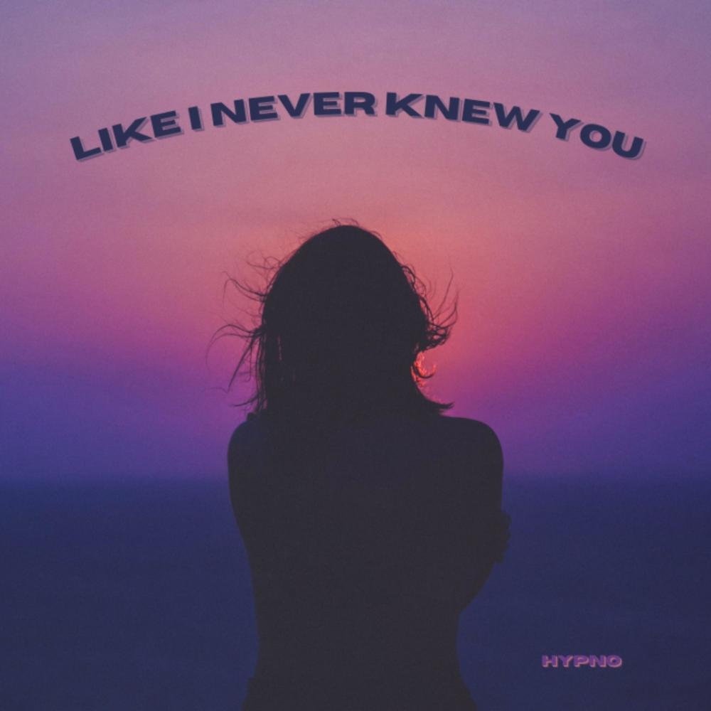 Like I never knew You